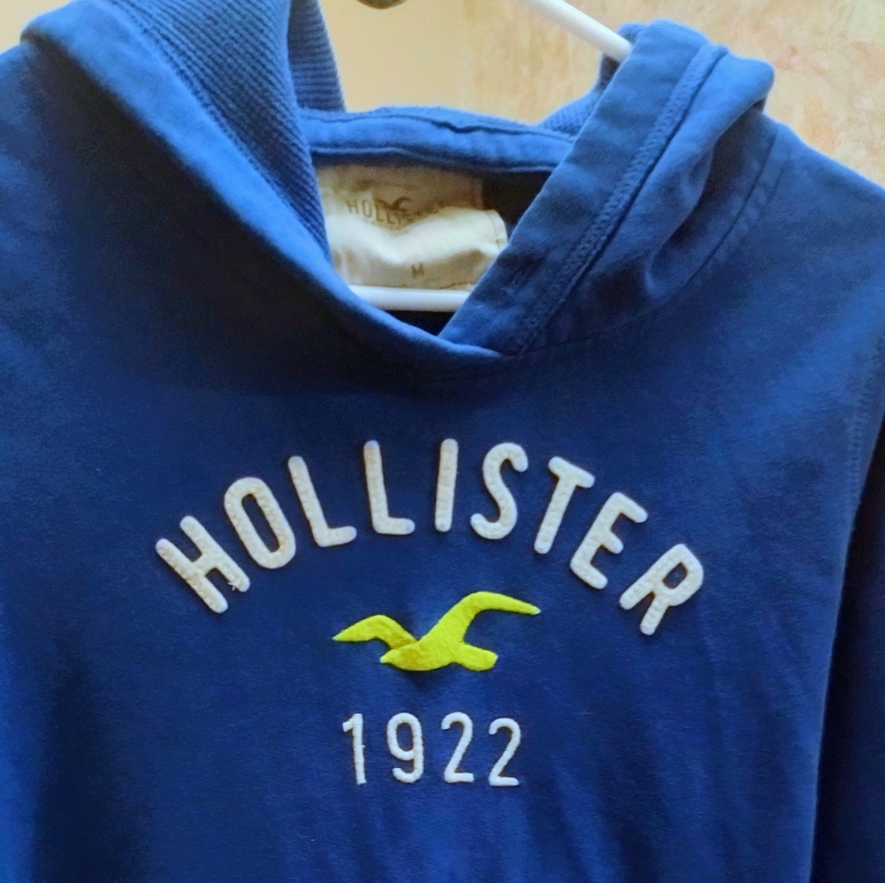 Hollister Blue Hoodie - Picture 2 of 2